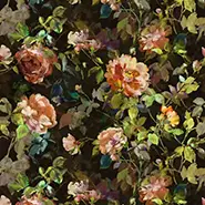 Gertrude Rose (FDG3058-02)